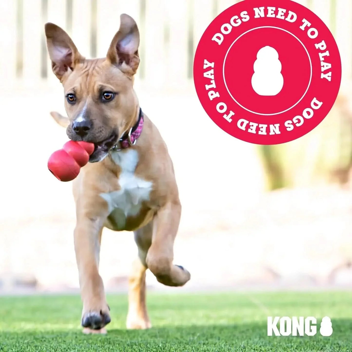 Kong Extreme Goodie Bone Dog Toys Black Kong®