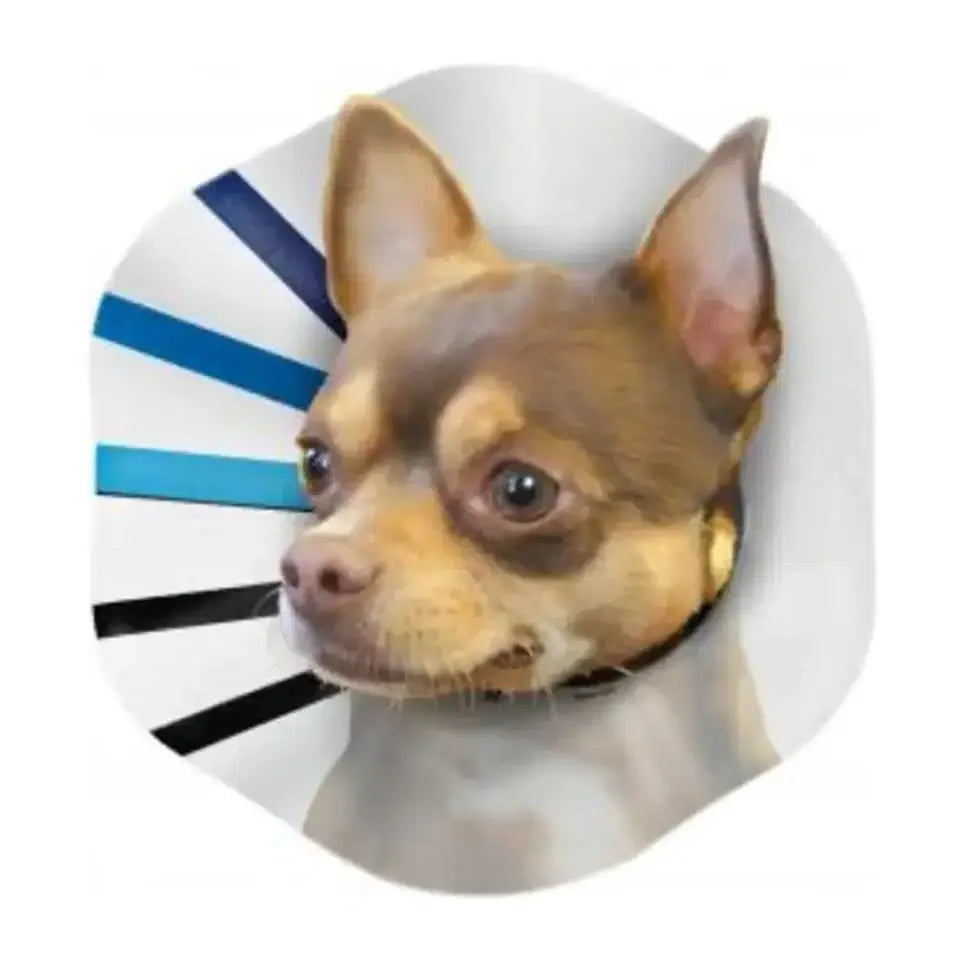 Replaced Image
