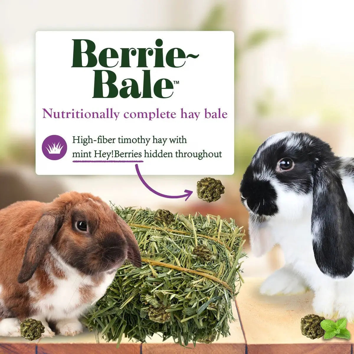 Lafeber Company Berrie-Bale for Rabbits Mint 1 lb Lafeber's®
