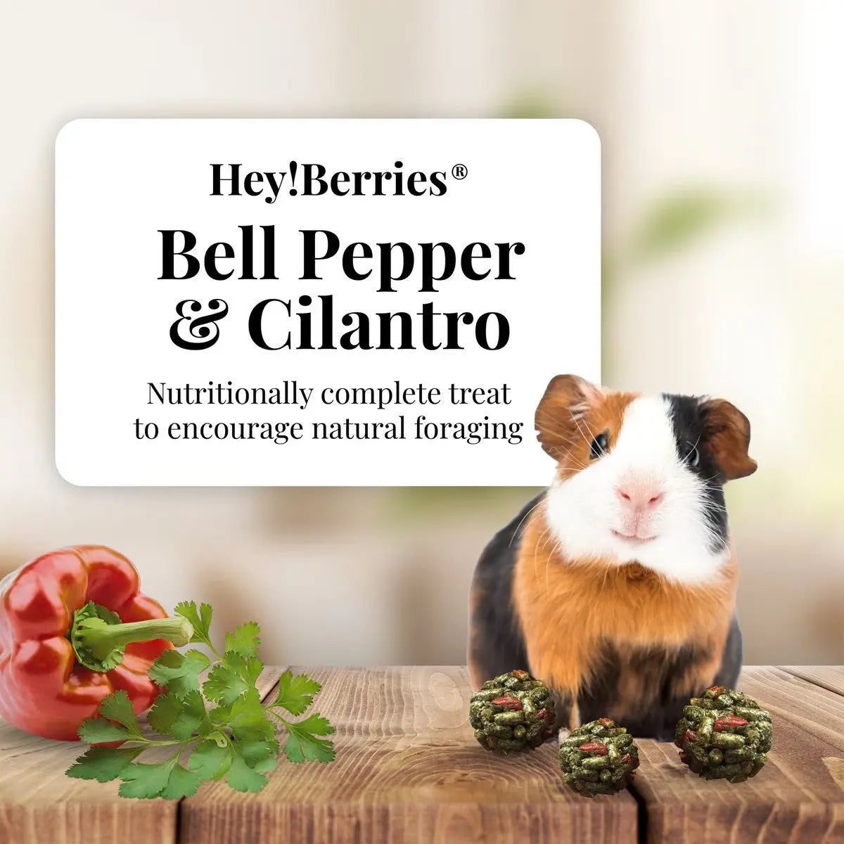 Lafeber Company Hey! Berries Guinea Pig Food Bell Pepper & Cilantro 5 oz Lafeber's®