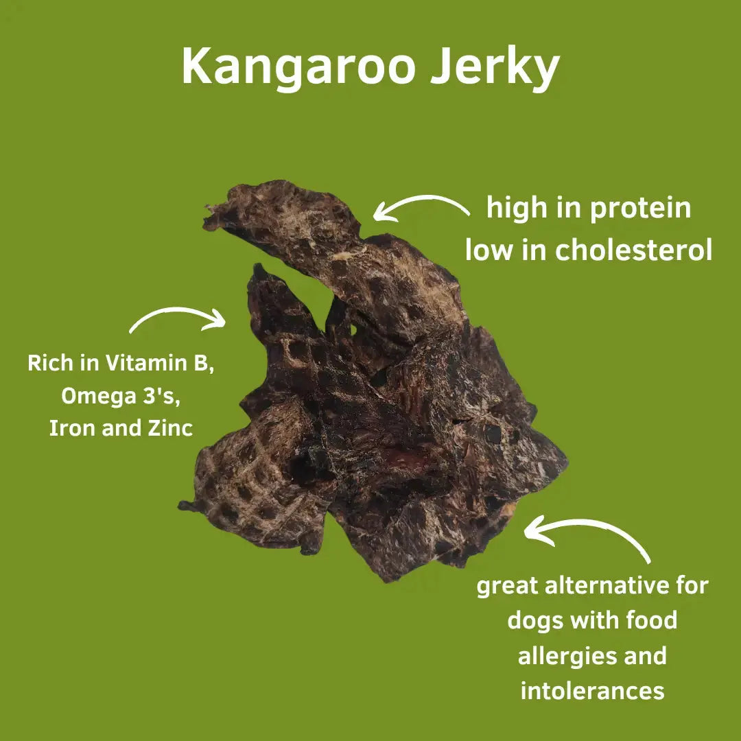 Advance Pet Products Low-Fat Kangaroo Jerky for Dogs with Food Sensitivities: all-natural protein, high in vitamin B, omega 3s, iron & zinc. Grain-free treat ideal for dogs with allergies or intolerances. Pictured on a green background.