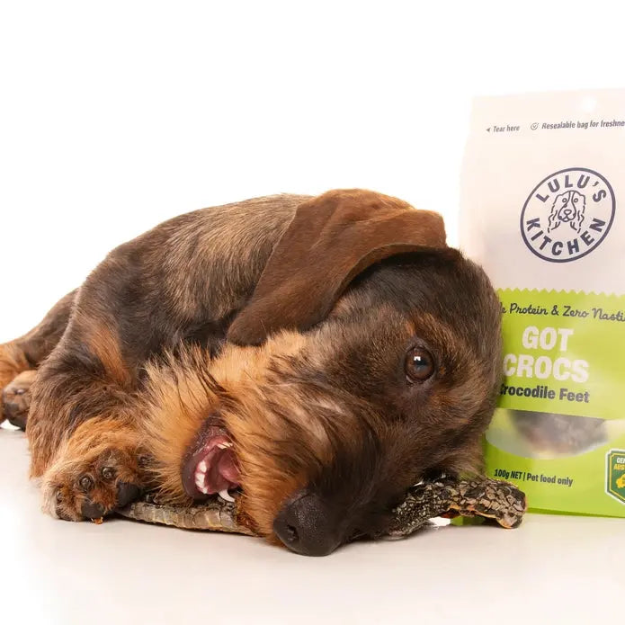 Lulu's Kitchen Got Crocs Healthy Chews for Dogs 4.94 oz Lulu's Kitchendog