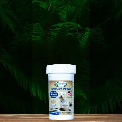 A container of Mad About Organics Oral Care Powder for Pets by Mad About Organics rests on a wooden surface with green ferns behind it. The label shows a dog and features blue and beige accents.