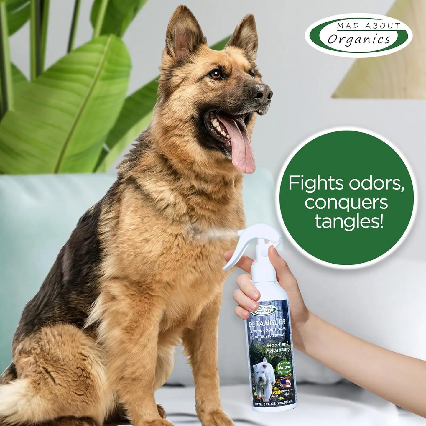 A happy German Shepherd sits on a bed while a hand sprays Mad About Organics Detangler Spray - Knot-Free Coats Made Easy 8oz. Text reads, Fights odors, conquers tangles! with the Mad About Organics logo in the top right corner.