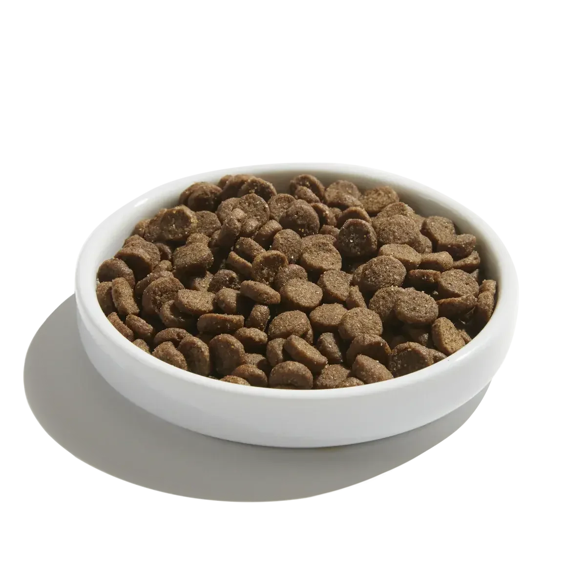 Made by Nacho Digestive Support Cage-Free Turkey & Pumpkin Recipe Dry Cat Food Made By Nacho