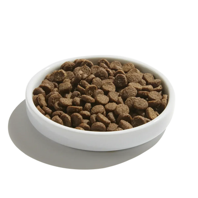 Made by Nacho Digestive Support Cage-Free Turkey & Pumpkin Recipe Dry Cat Food Made By Nacho