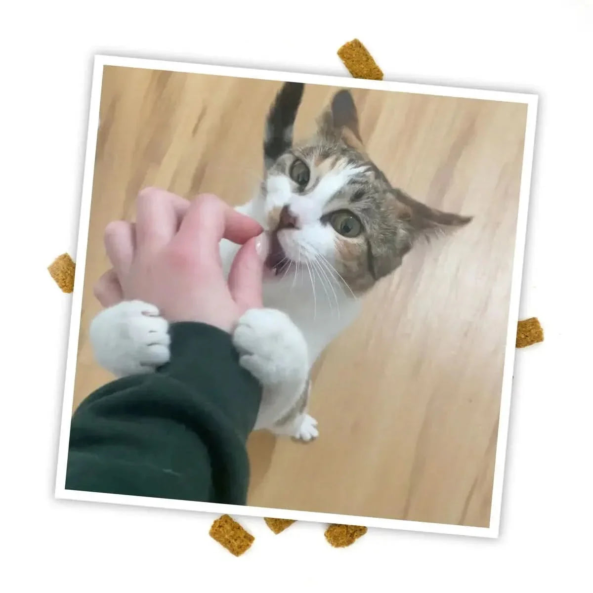 Meowijuana Crunchie Munchie Chicken Cat Treats 3 Oz Meowijuana®