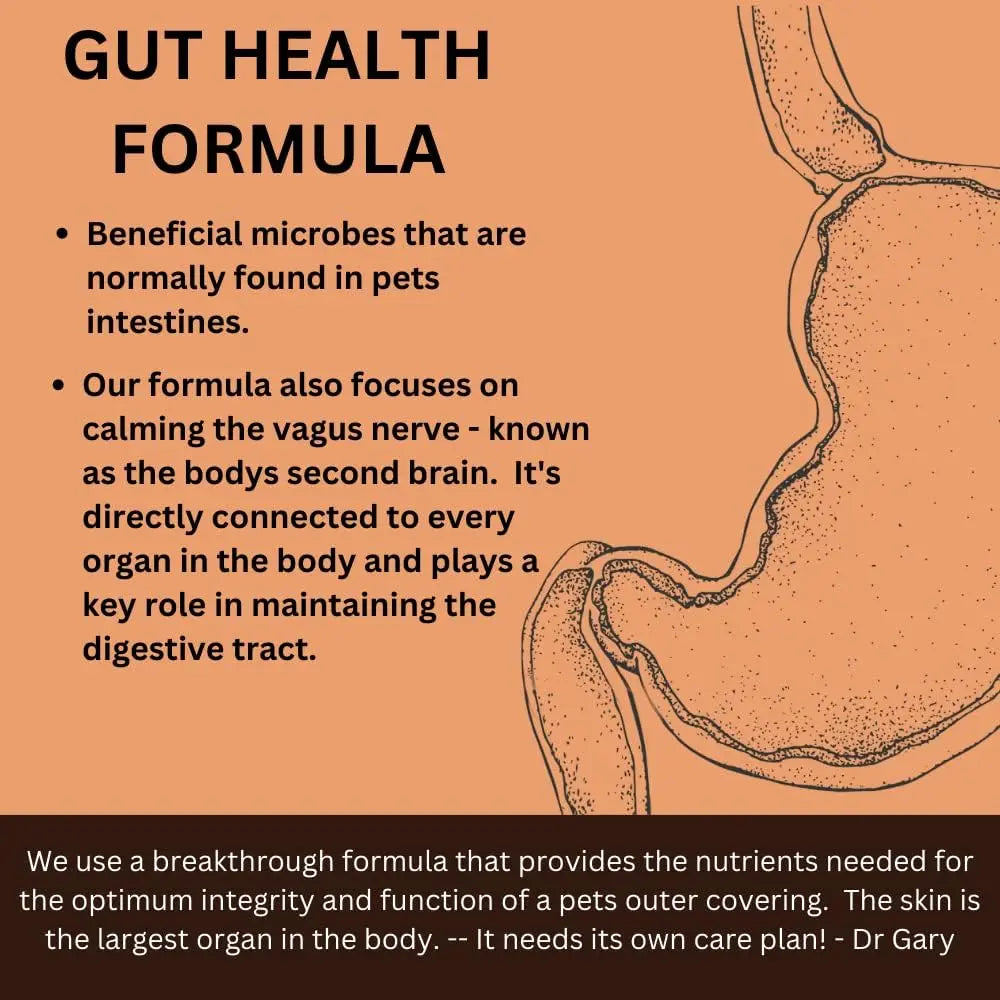 Infographic titled MicrocynAH MICRO Cat Gut Health Soft Chews 120g explains how MicrocynAH supports cat gut health with prebiotics and probiotics, features a digestive system graphic, and highlights Dr. Garys quote on skin care benefits for pets.