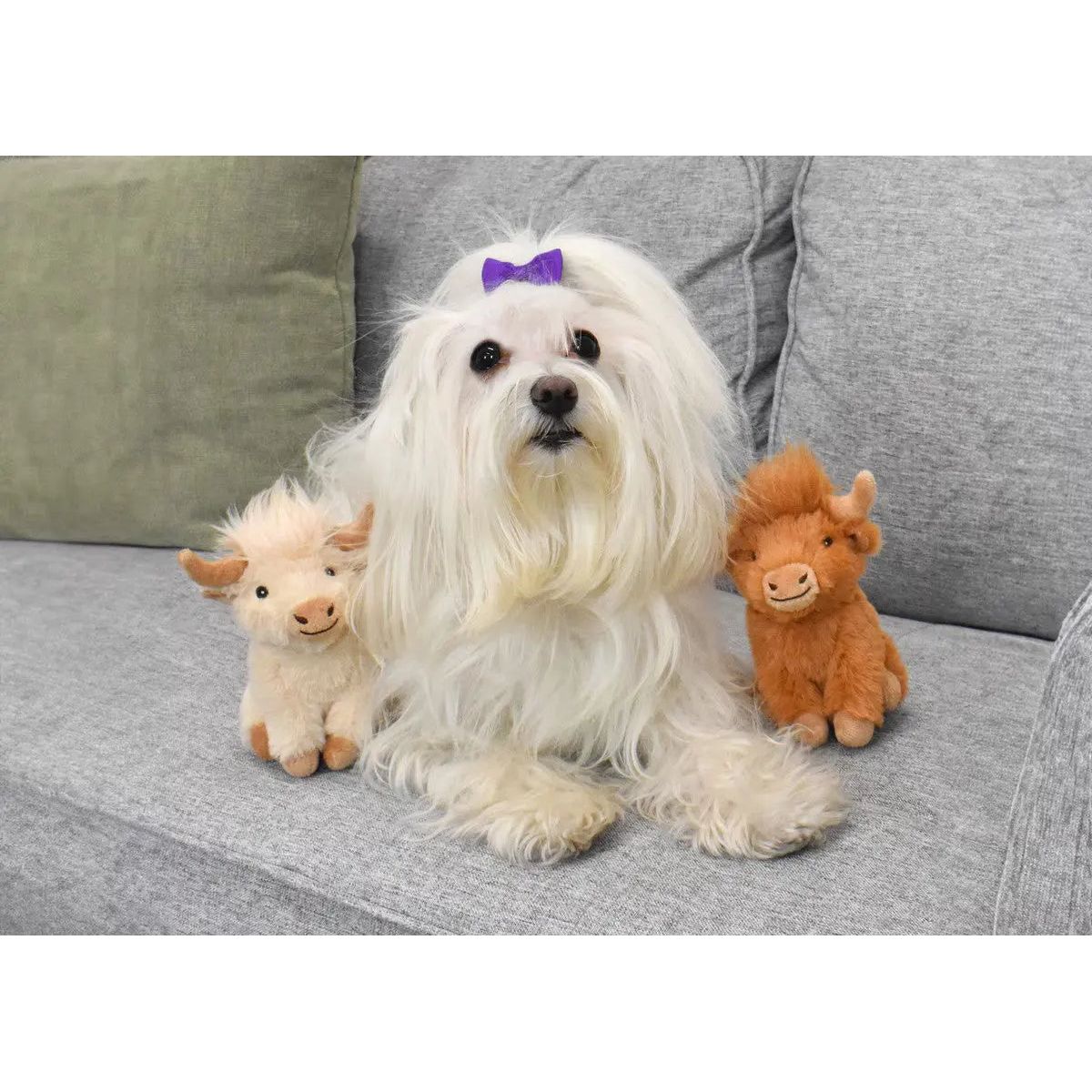 A fluffy white dog with a purple bow sits on a gray couch, flanked by two Multipet Highland Cow Dog Toys—one cream-colored and the other brown. Green cushions in the background complete this charming scene of plush companions.