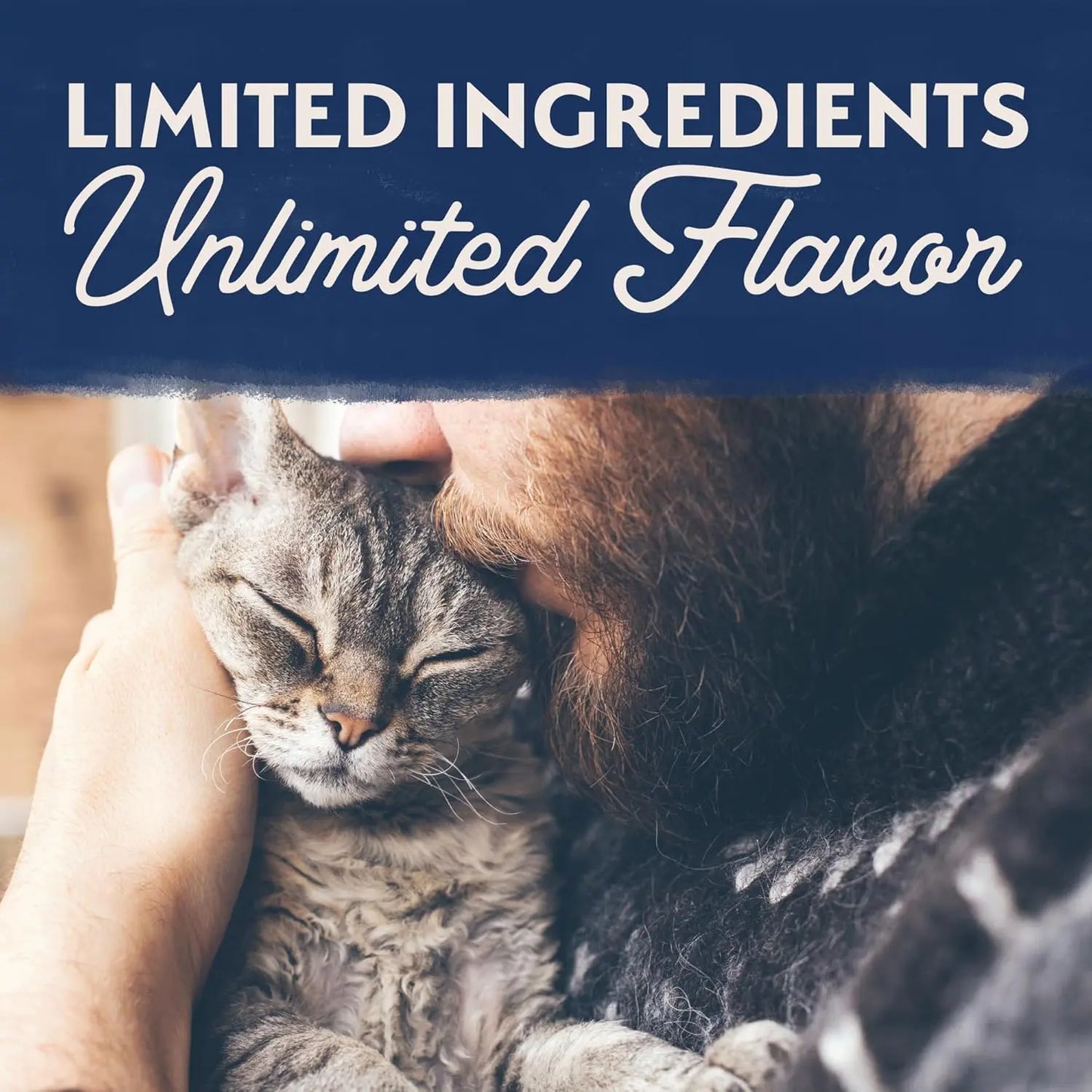 Natural Balance Pet Foods Limited Ingredient Pate Canned Cat Food Natural Balance