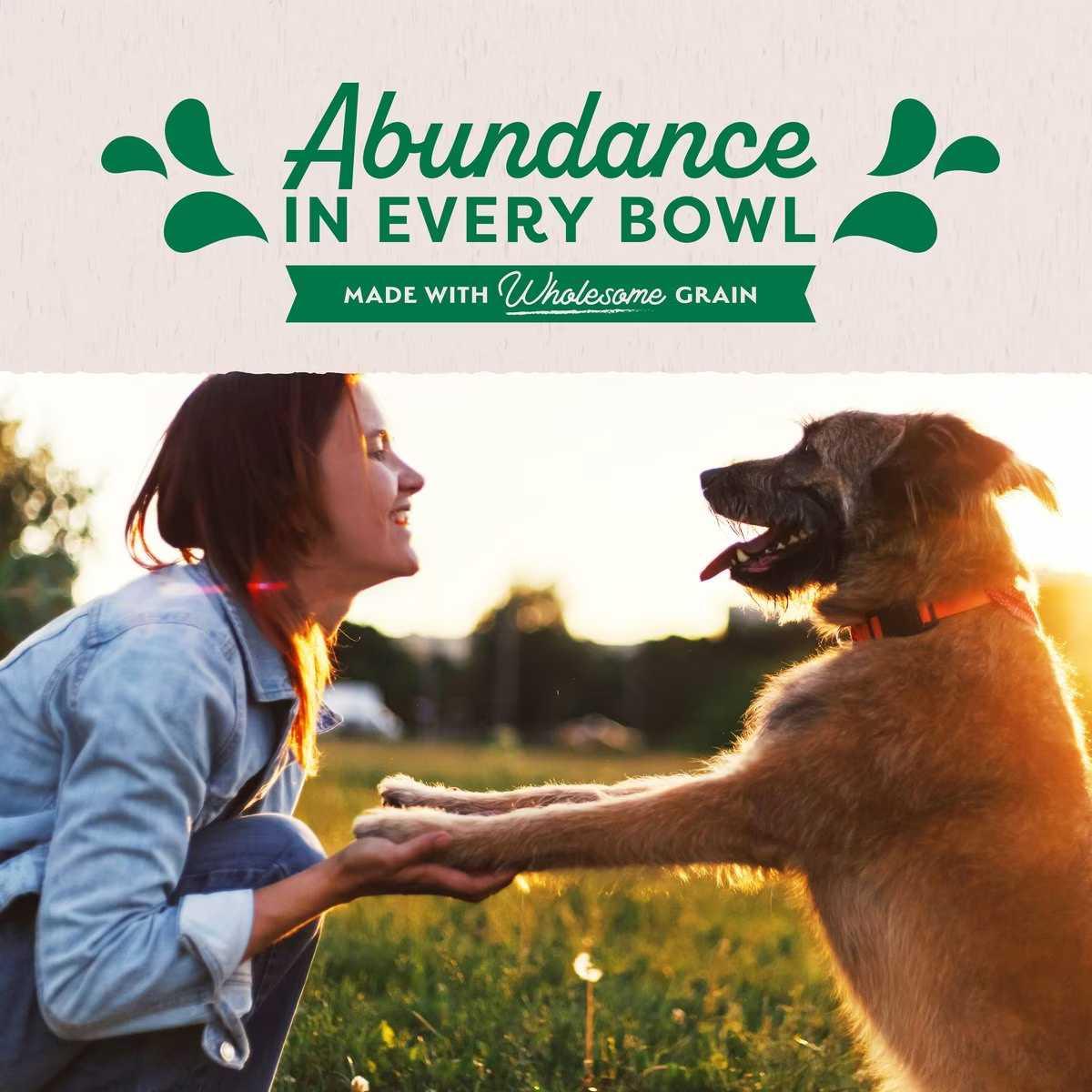 Natural Balance Pet Foods Ultra Premium Lamb Wet Dog Food 12ea/13 oz Natural Balance