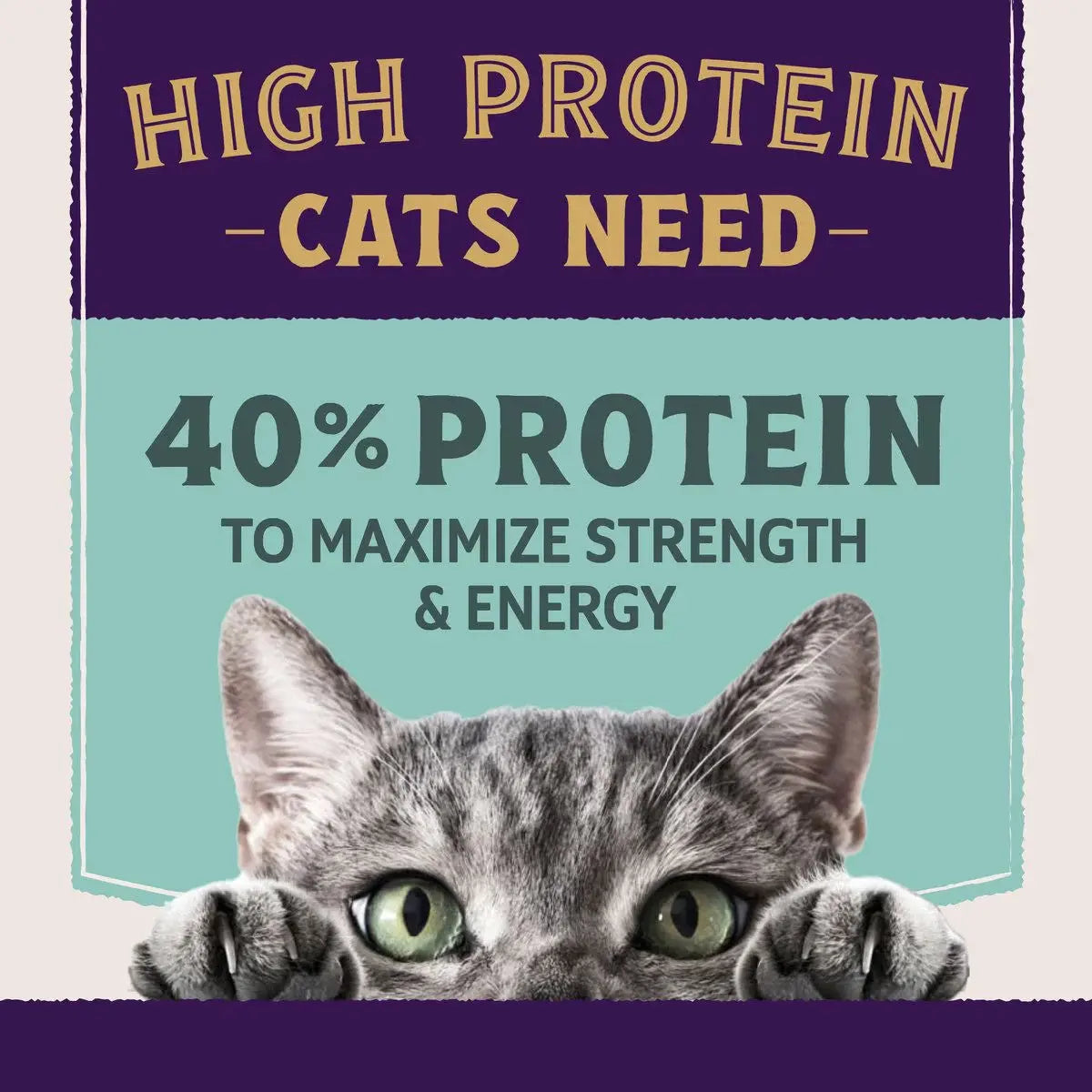 Natural Balance Pet Foods Ultra Protein Rich Organs Pate Canned Cat Food 24ea/2.8 oz Natural Balance