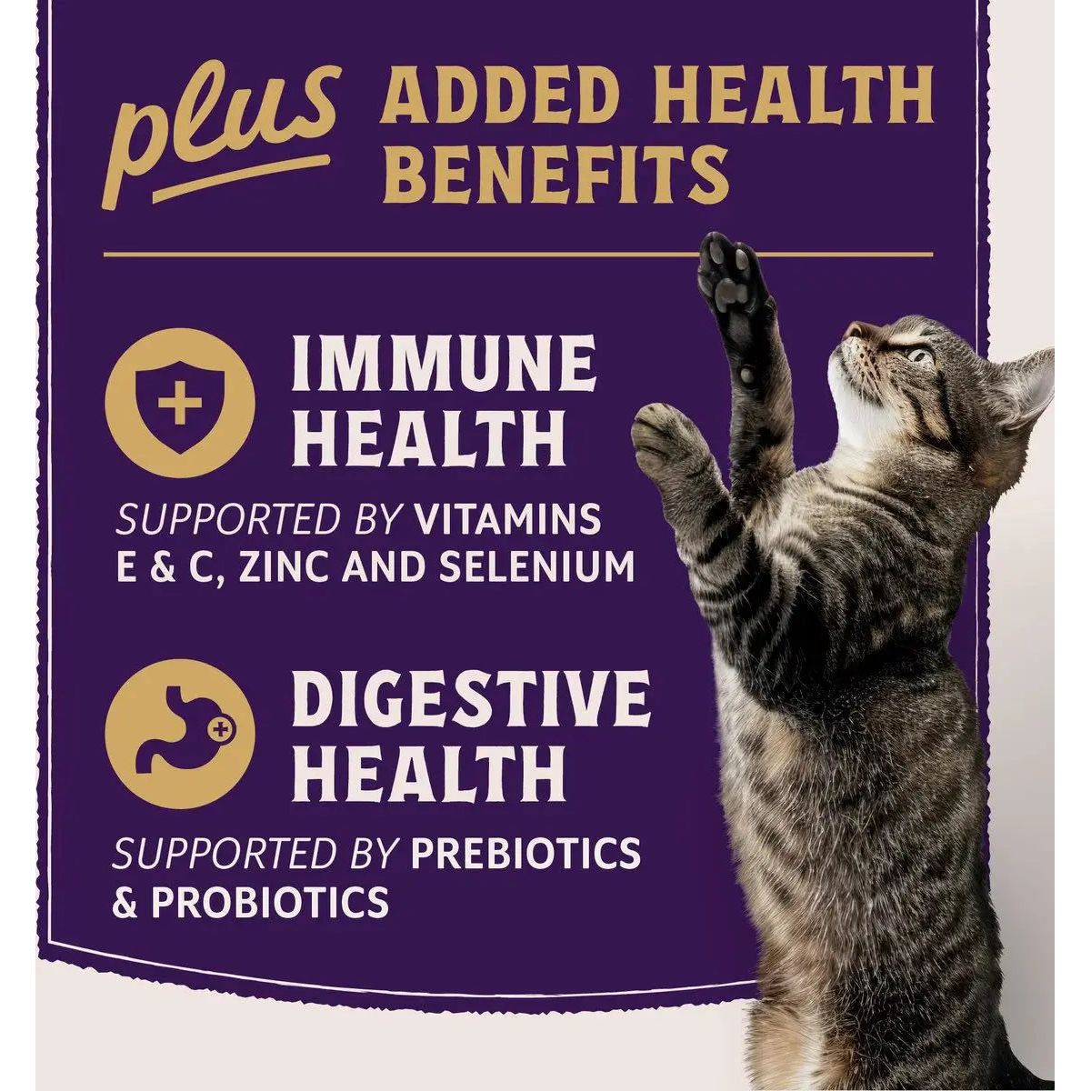 Natural Balance Ultra Protein Plus Immune & Digestive Health Chicken Meal Dry Cat Food Natural Balance