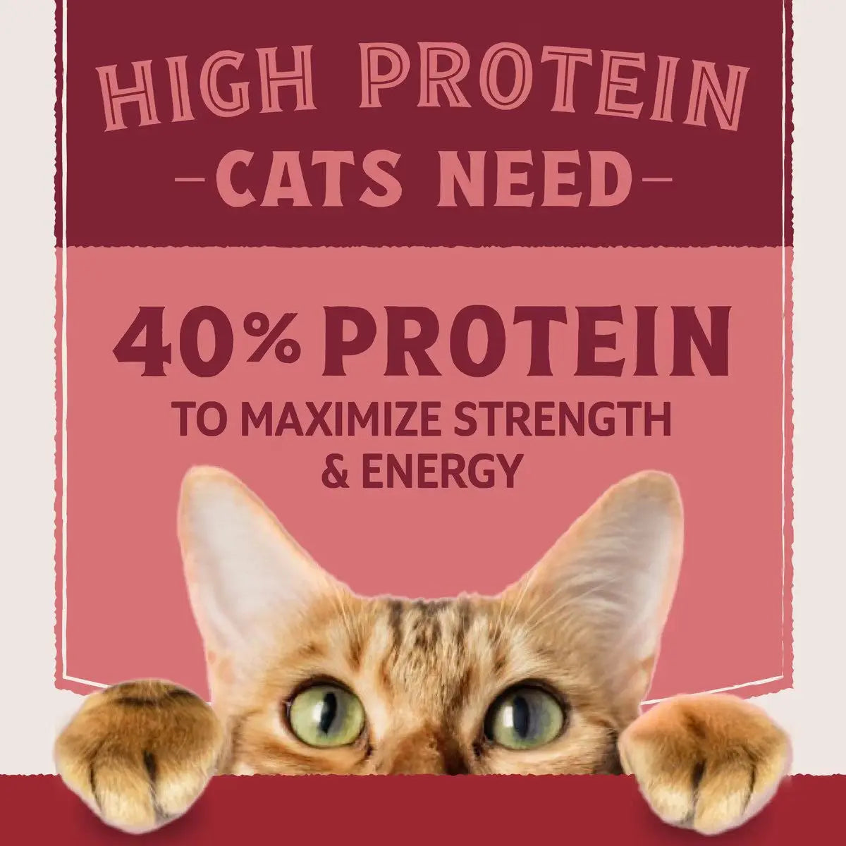 Natural Balance Ultra Protein Salmon & Chicken Meal Recipe Dry Cat Food Natural Balance