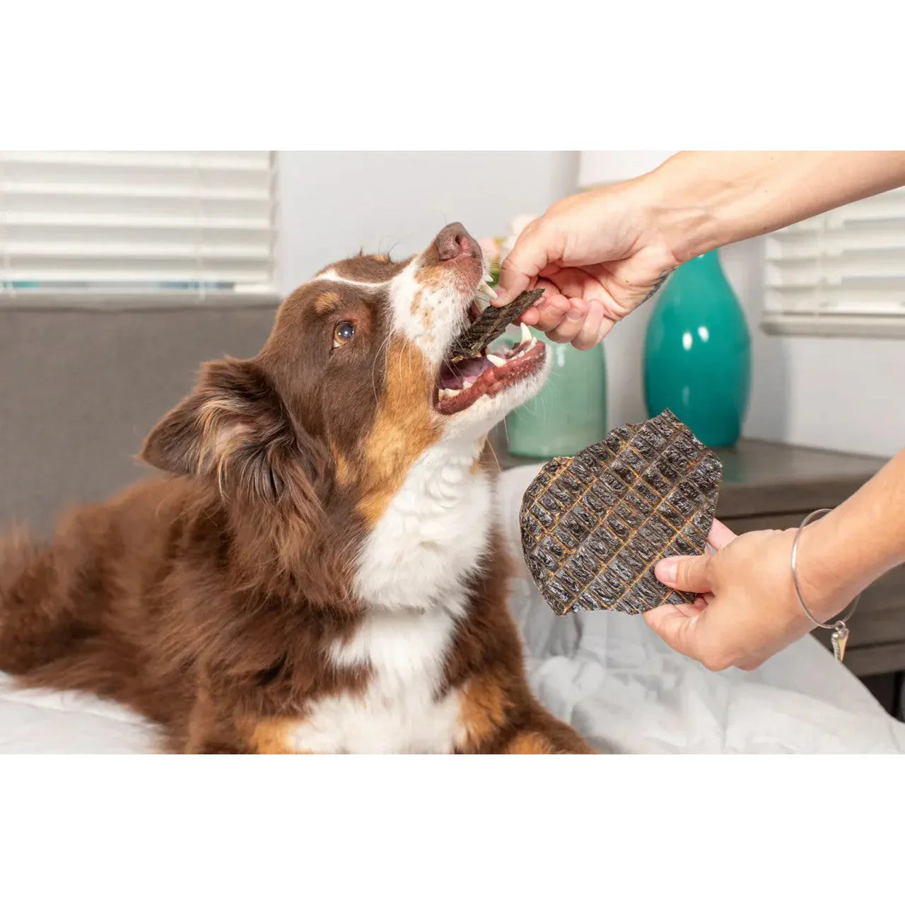 Natural Cravings Beef Liver Jerky for Dogs 12 oz Barking Buddha