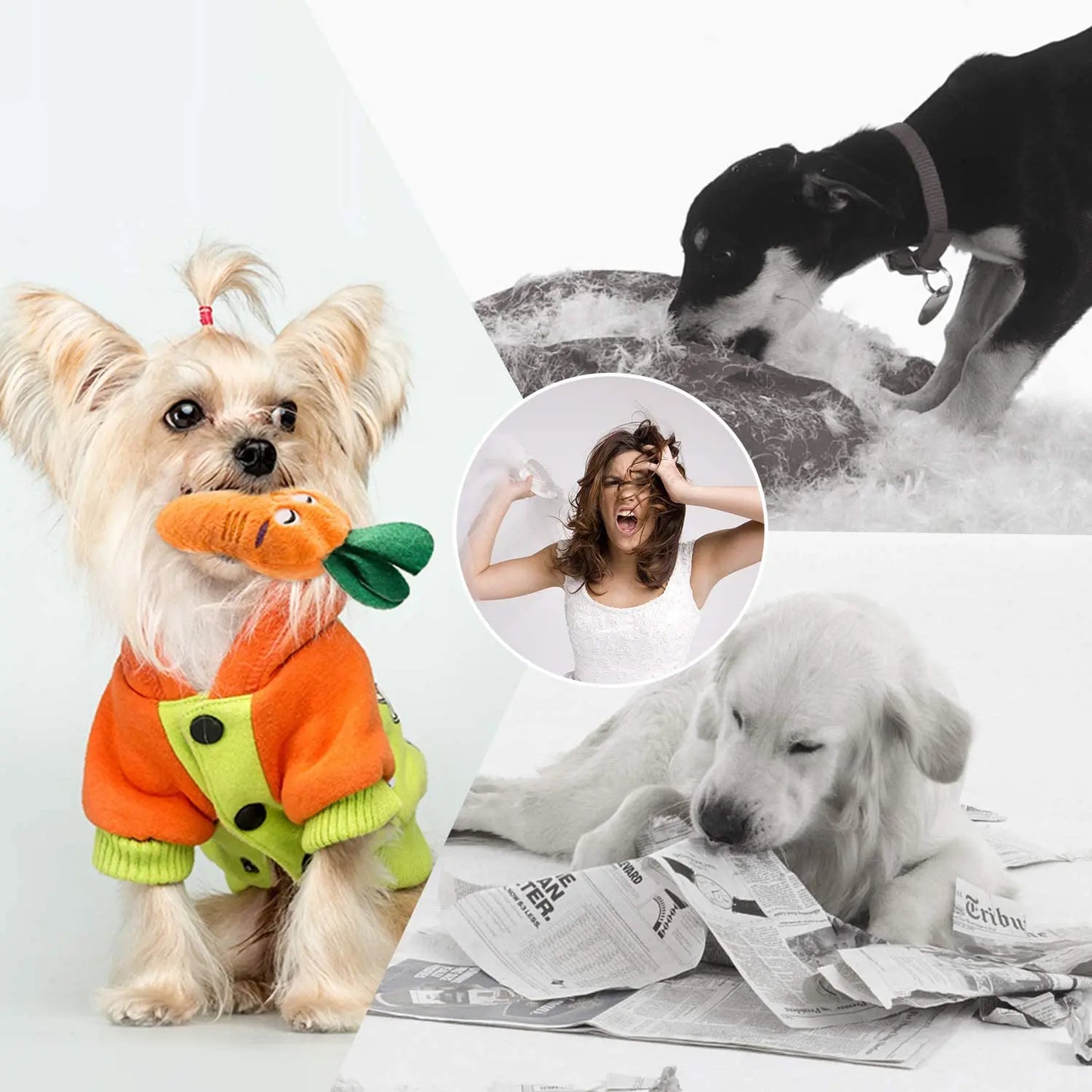 Nocciola 12-Pack Squeaky Dog Toys with Carry Bag Nocciola