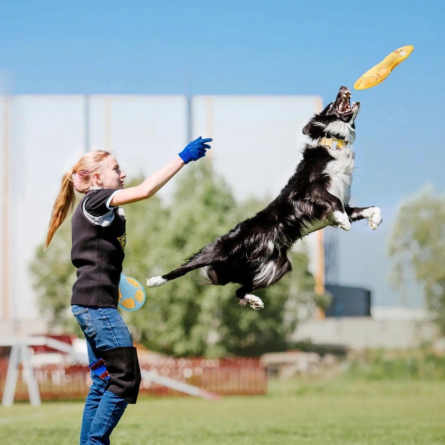 A girl tosses the Nocciola Durable Duck Squeaky Dog Toy for Aggressive Chewers, while a black and white dog leaps to catch it in a grassy outdoor field on a sunny day.