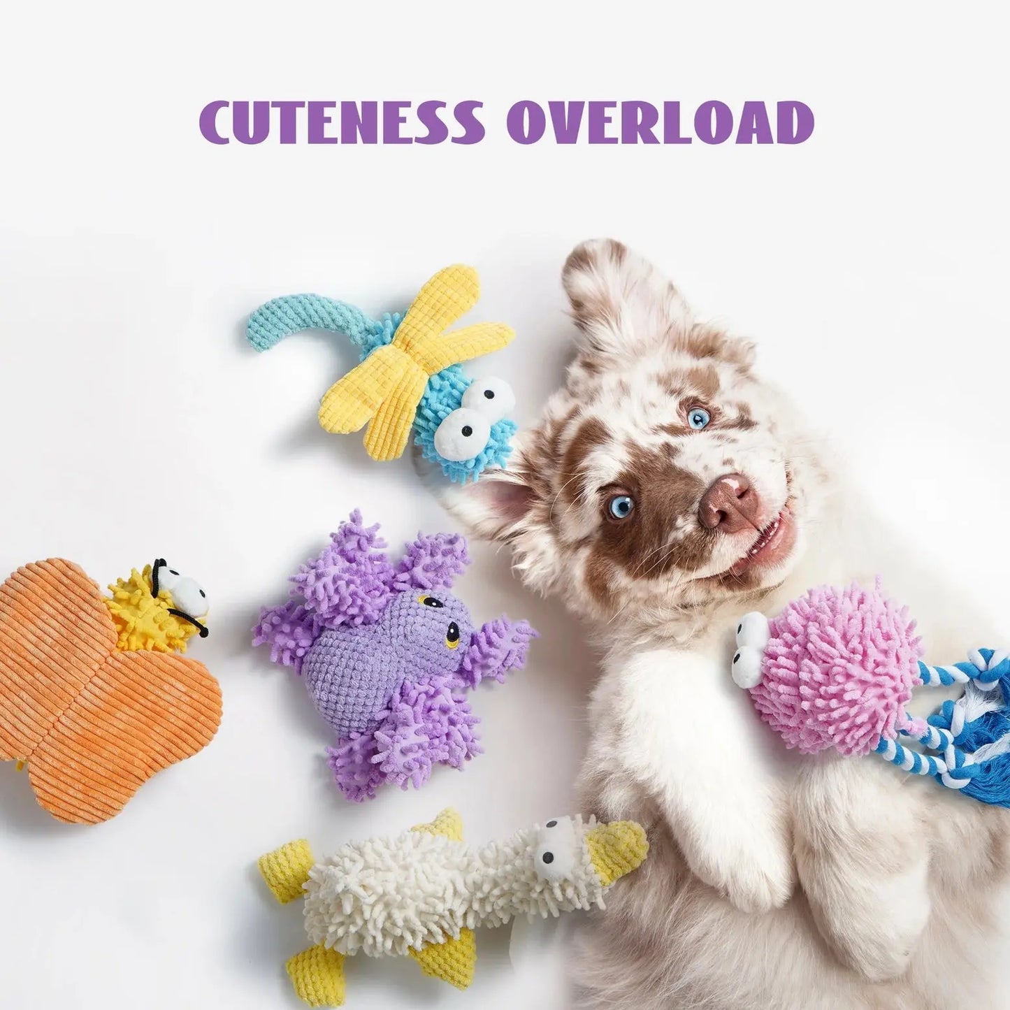 Nocciola Plush Chenille Squeaky Dog Toys - 5 Pack for Durable Fun Nocciola