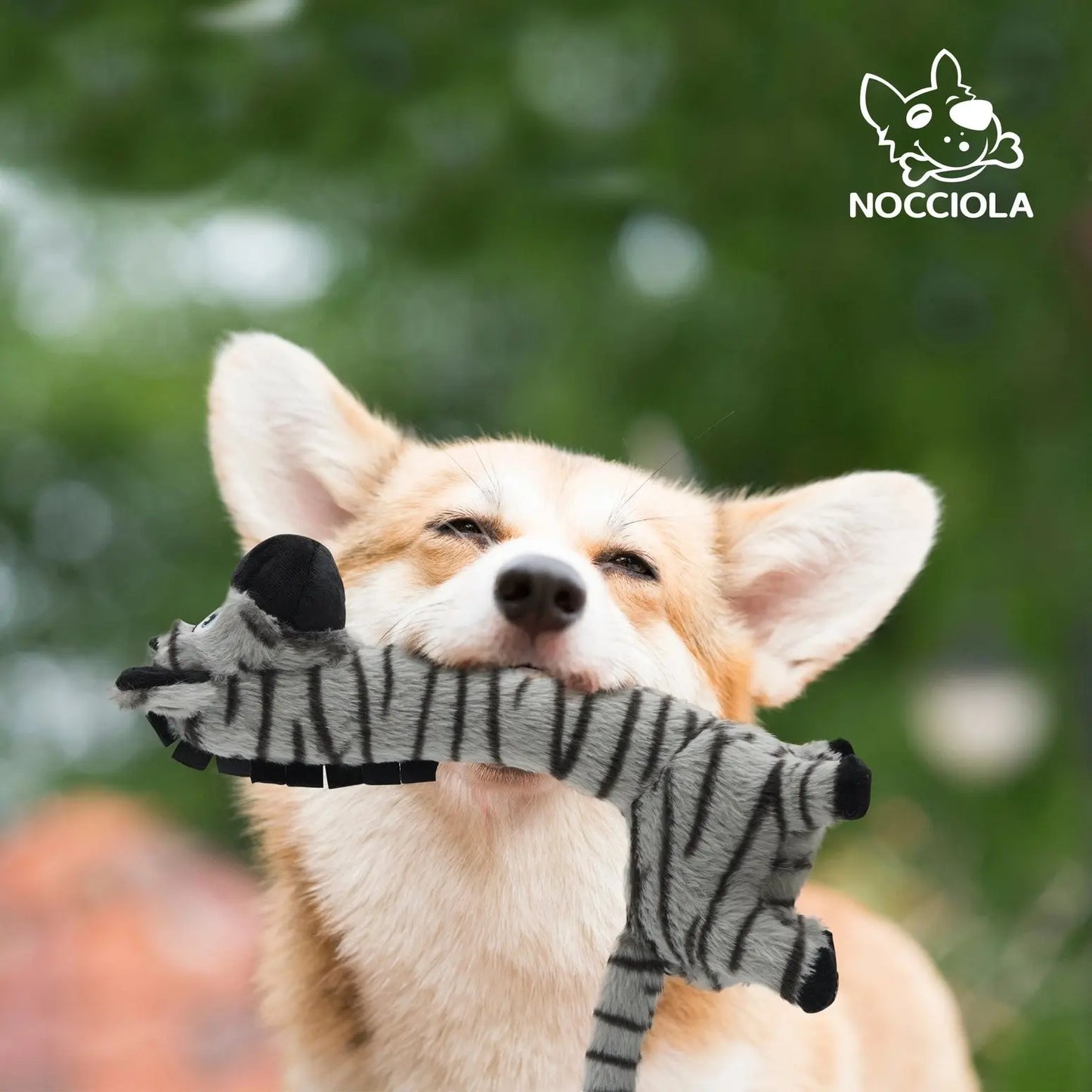 Nocciola Twist & Chew Plush Dog Toy Nocciola