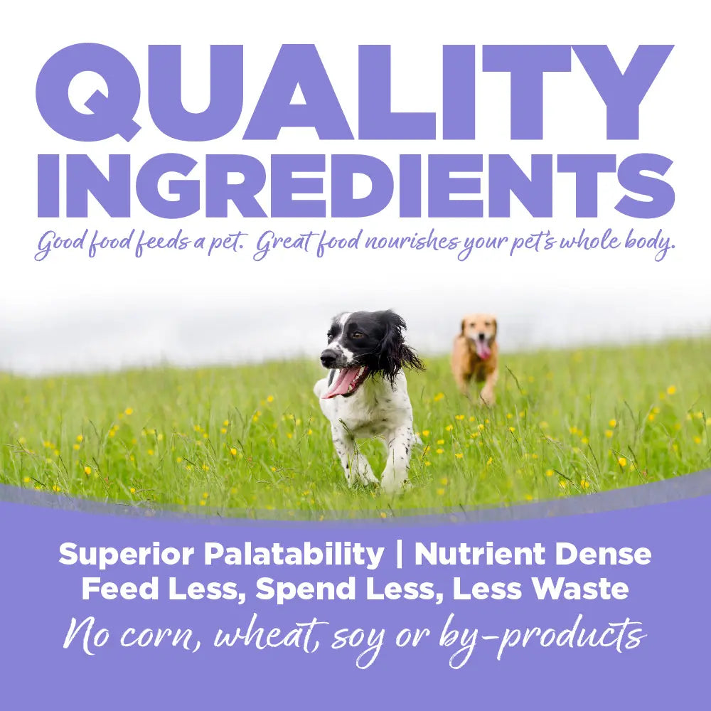 NutriSource Choice Chicken Meal & Barley Recipe Puppy Dry Dog Food 5 lb NutriSource