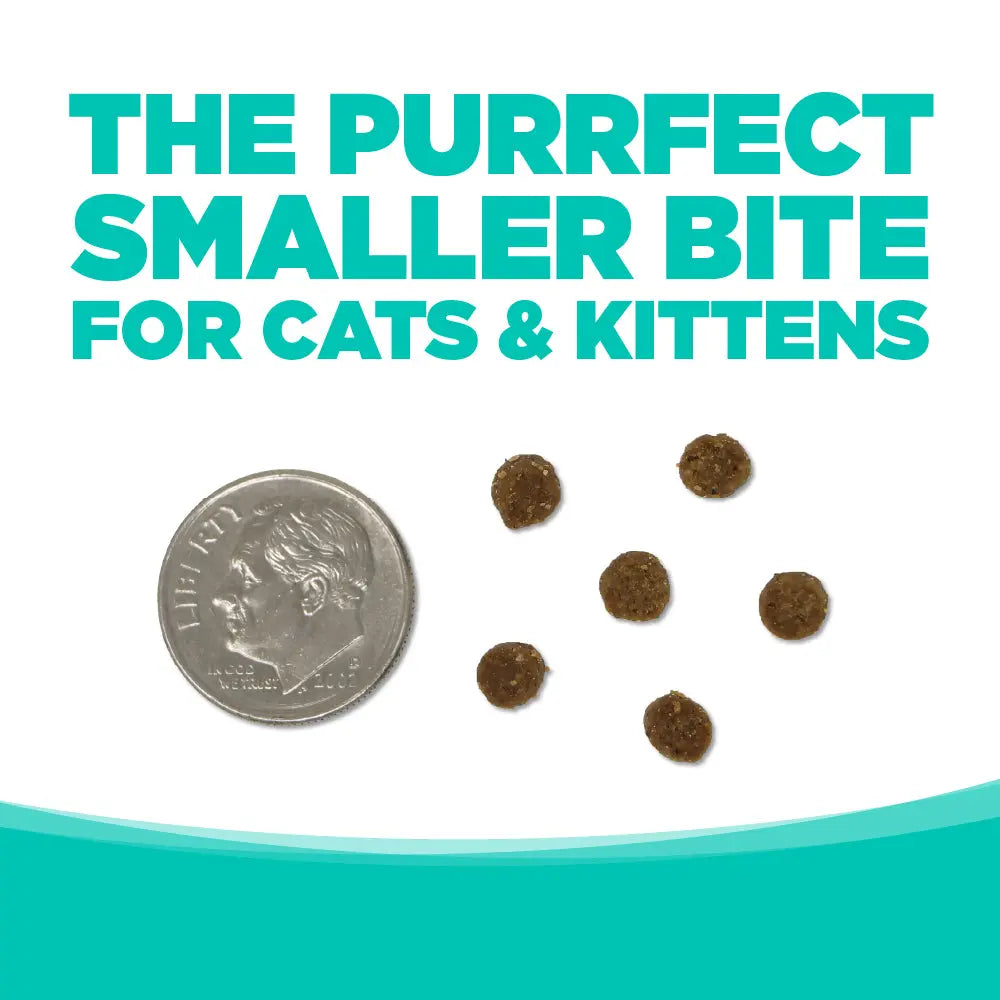 NutriSource Grain Free Country Select Cat & Kitten Dry Cat Food NutriSource