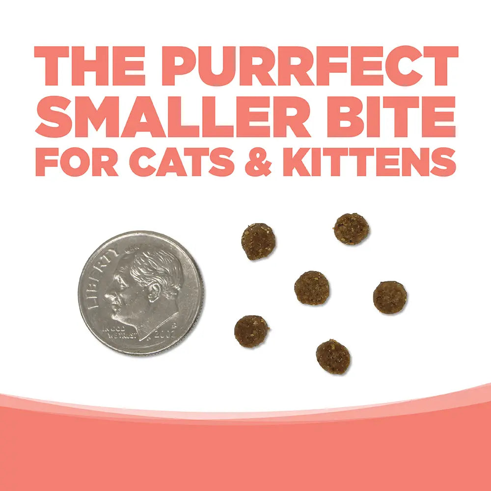 NutriSource Grain Free Ocean Select Cat & Kitten Dry Cat Food NutriSource