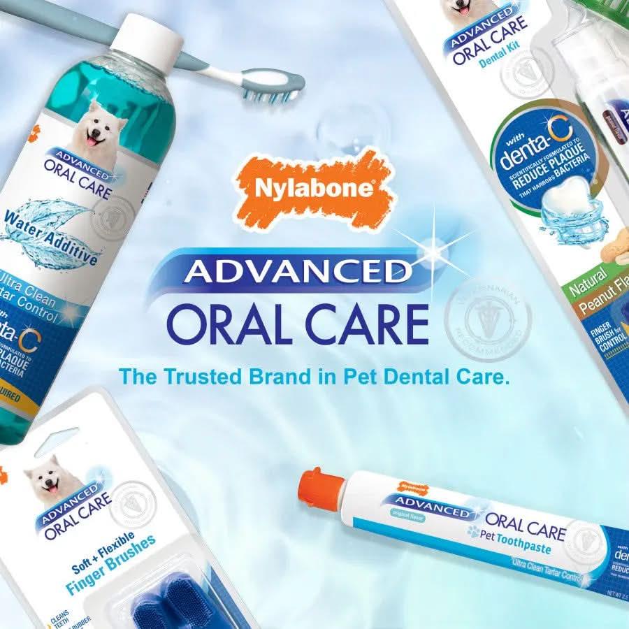 Nylabone® Advanced Oral Care® Tartar Control Toothpaste for Dog 2.5 Oz Nylabone®