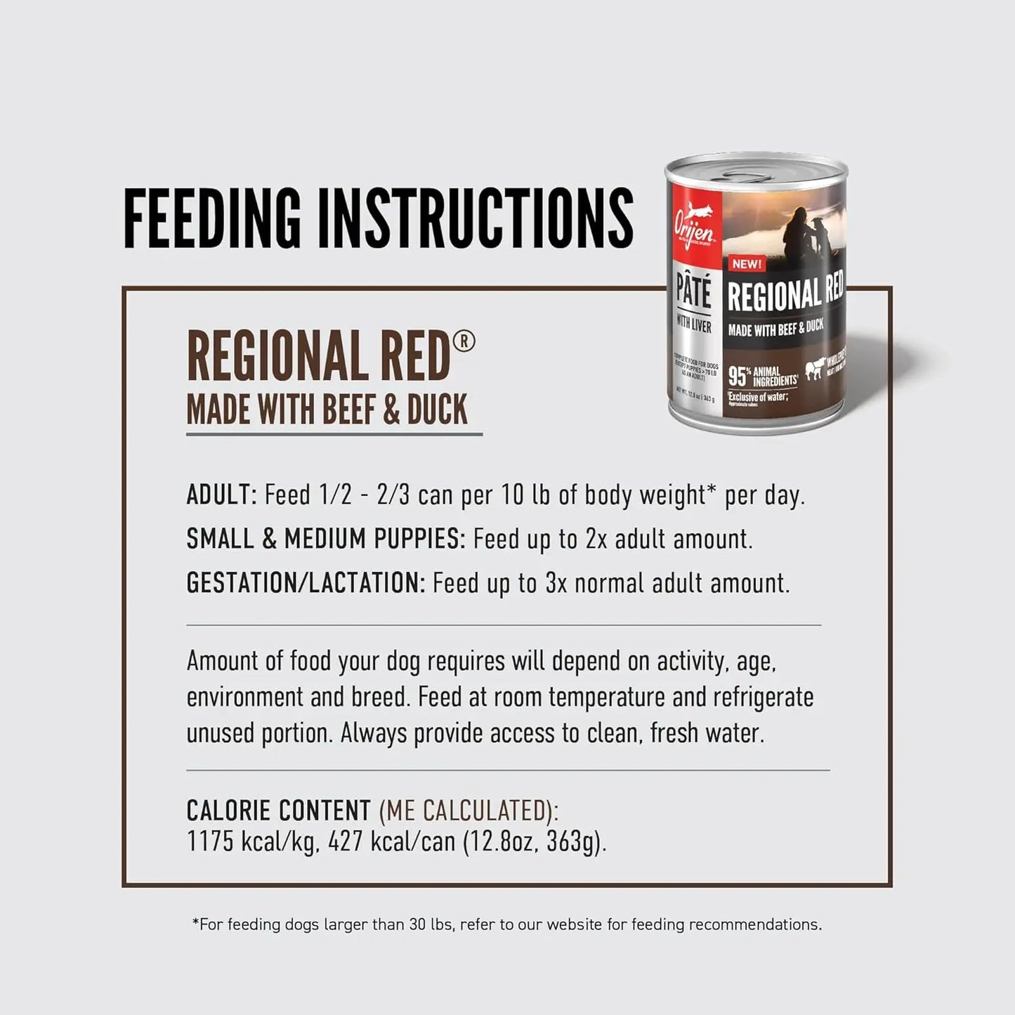 Feeding instructions for ORIJEN Adult High-Protein Regional Red Pate with Liver Wet Dog Food 12ea/12.8 oz are shown, including adult and puppy guidelines, gestation/lactation, storage tips, calorie info, and an image of the can.