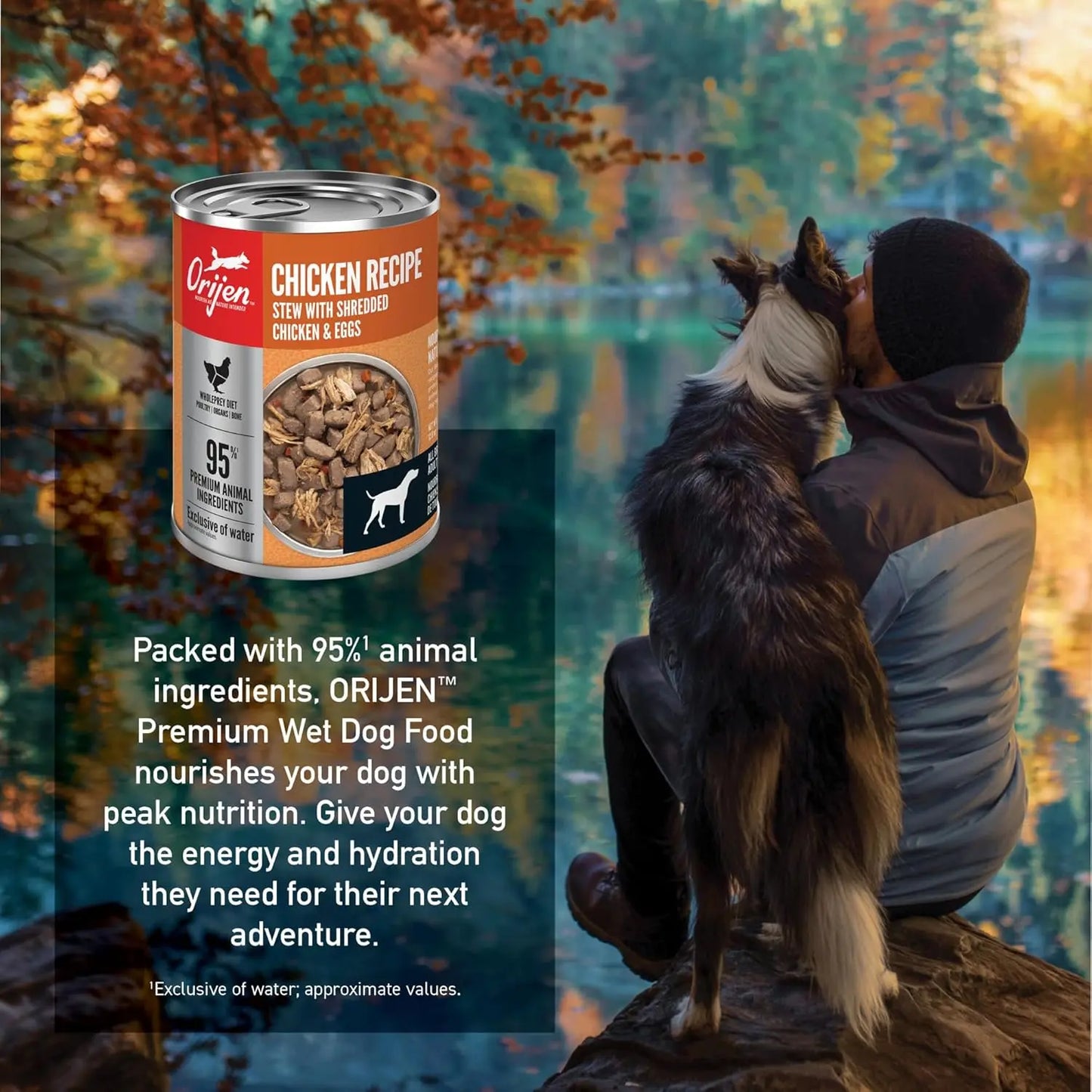 A person sits on a log beside a border collie, overlooking an autumn lake. Next to them is ORIJEN Real Meat Shreds Chicken & Eggs Recipe Stew Grain-Free Wet Dog Food, featuring 95% animal ingredients and Biologically Appropriate nutrition.