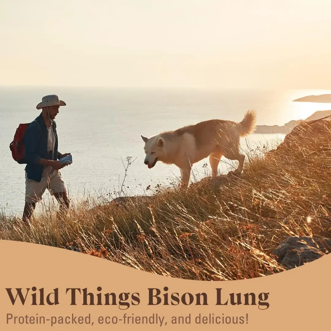 OTIS Wild Things Grass-Fed Bison Lung Filets Dog Treats 4oz OTIS