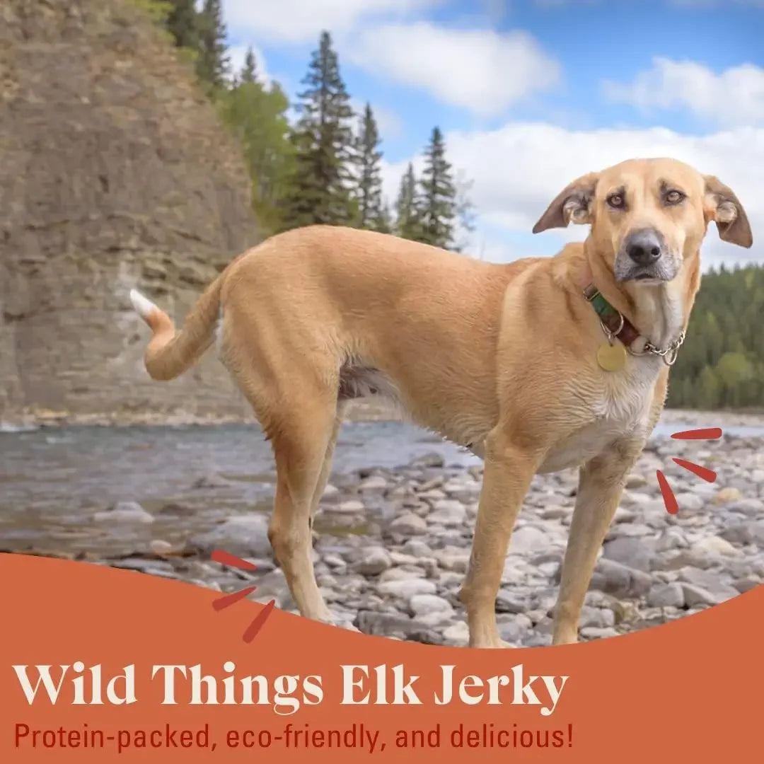 OTIS Wild Things Grass-Fed Elk Jerky Dog Treats OTIS
