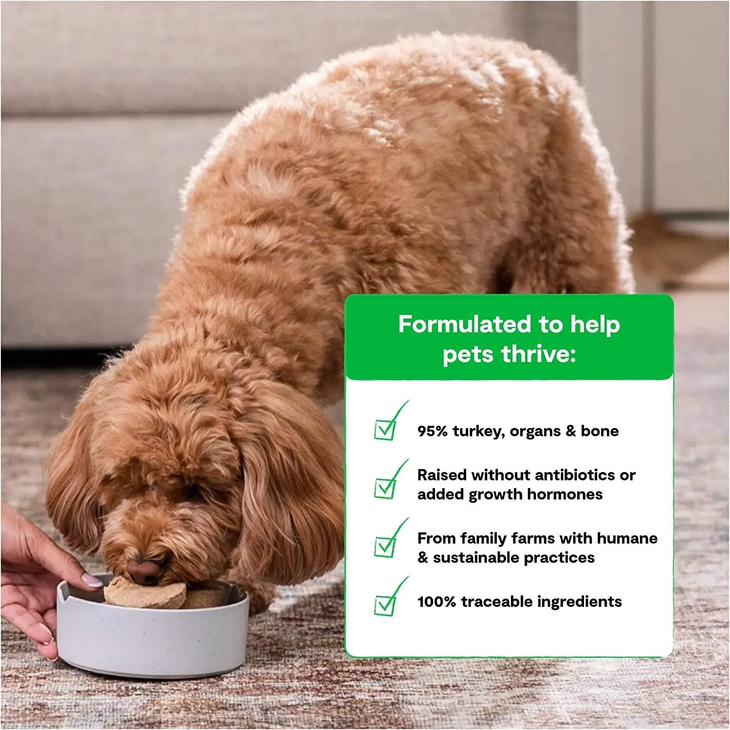 Open Farm Homestead Turkey Freeze-Dried Raw Patties Dog Food Open Farm