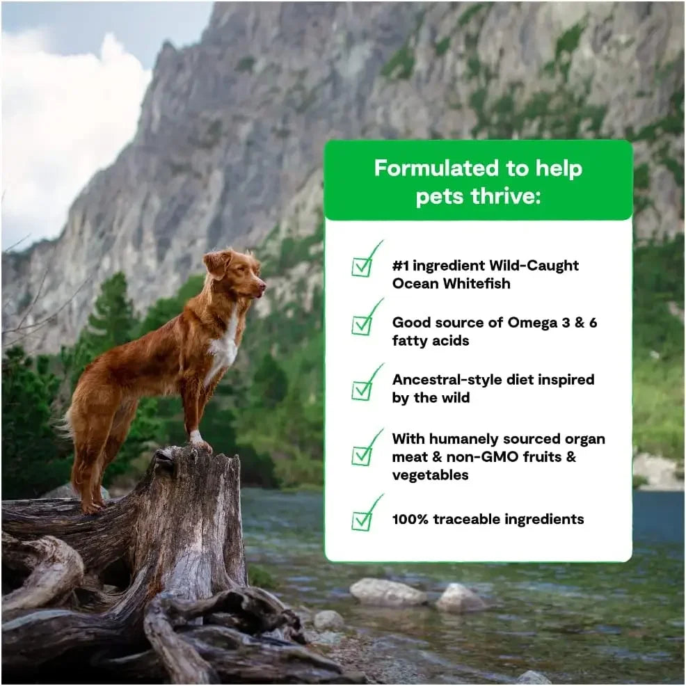 Open Farm RawMix Wild Ocean Recipe with Ancient Grains Dog Open Farm