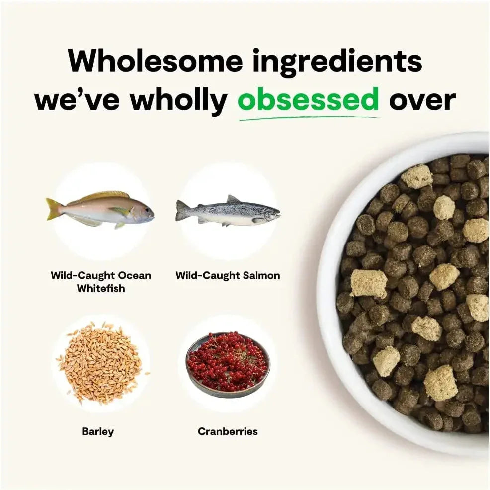 Open Farm RawMix Wild Ocean Recipe with Ancient Grains Dog Open Farm