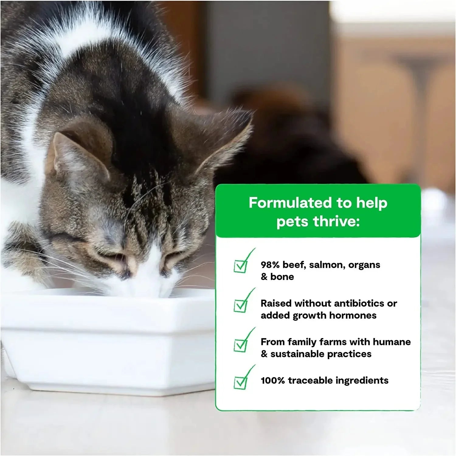 Open Farm Surf & Turf Freeze-Dried Raw Morsels Cat Food Open Farm