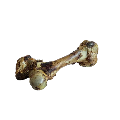 Open Range Beef Cured Dino Bone Dog Chew 5ct Open Range