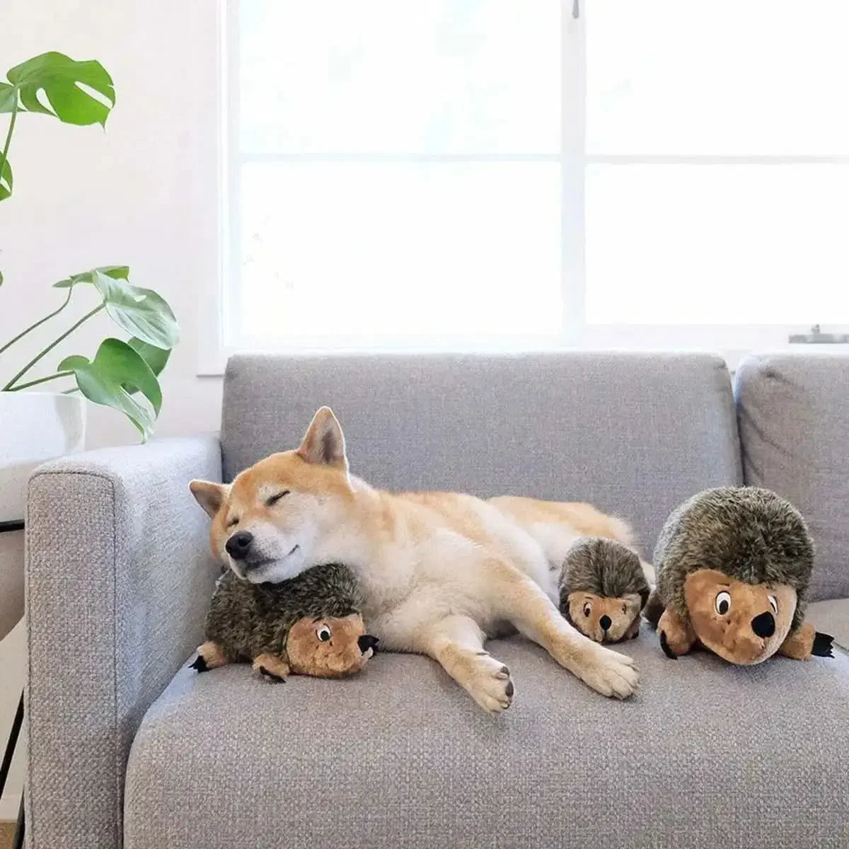 Replaced Image
