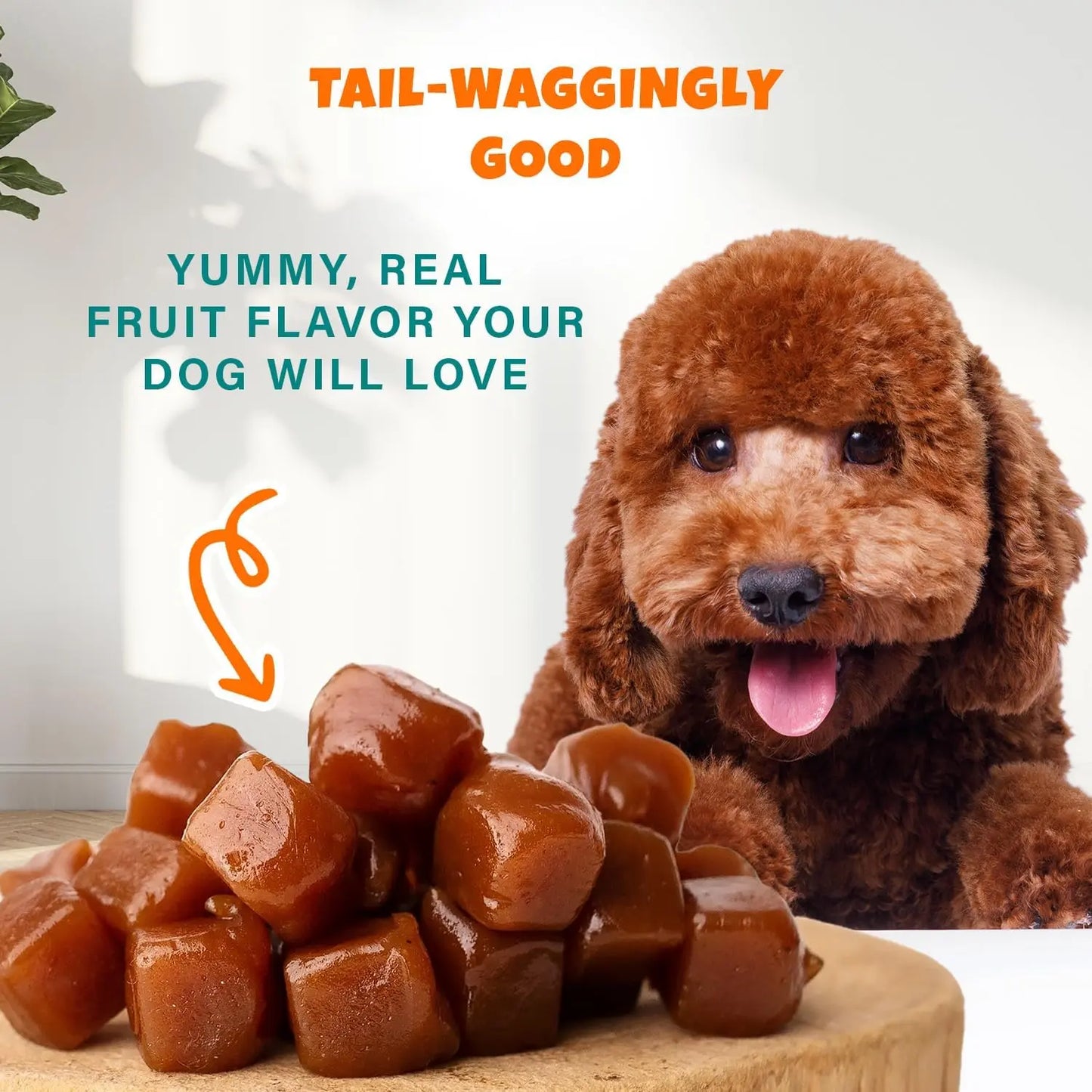 A happy brown poodle looks at a pile of PETIPET Apples + Carrots Bites Soft & Chewy Dog Treats 5 oz on a wooden plate, with text that reads TAIL-WAGGINGLY GOOD and Yummy, real fruit flavor your dog will love.