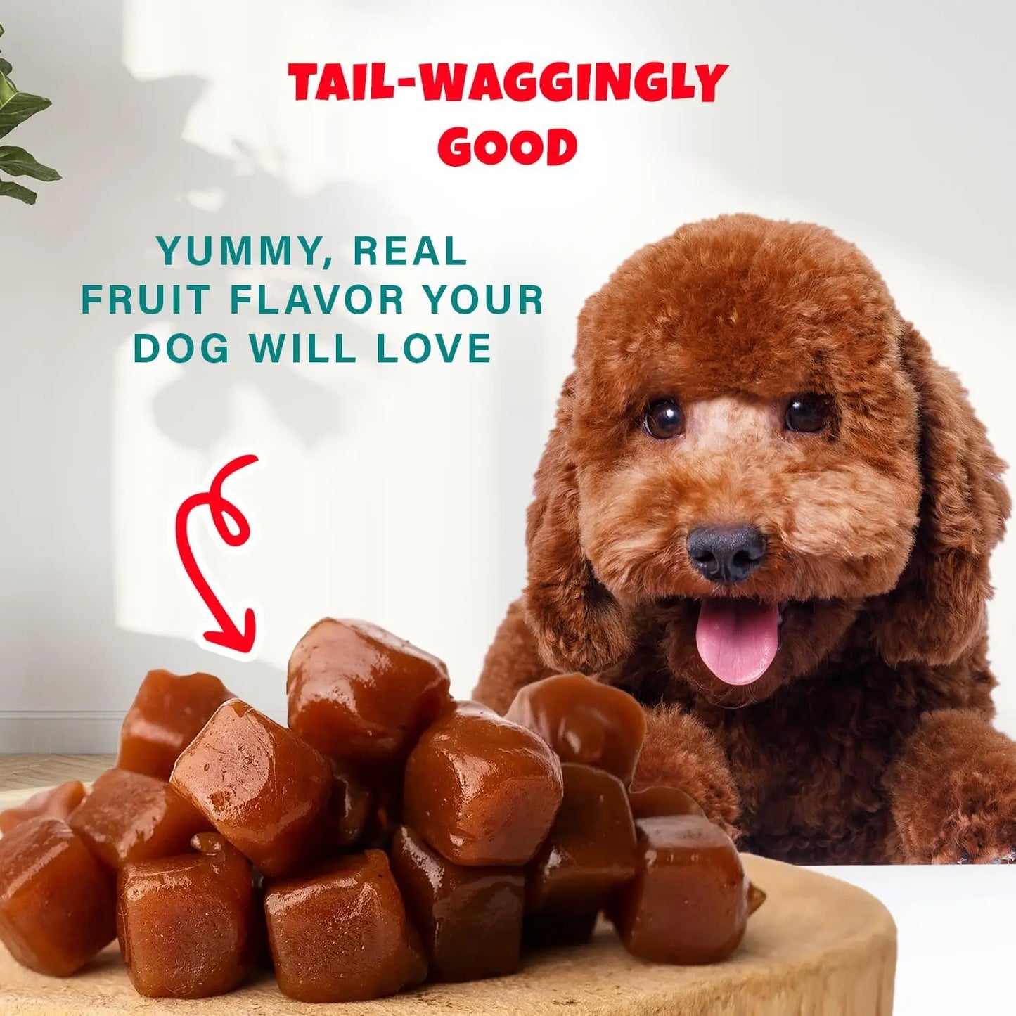 A happy brown poodle sits behind a platter of PETIPET Bananas + Strawberries Bites Soft & Chewy Dog Treats, with text reading Tail-waggingly good. Yummy, real fruit flavor your dog will love, and a red arrow pointing to the treats.