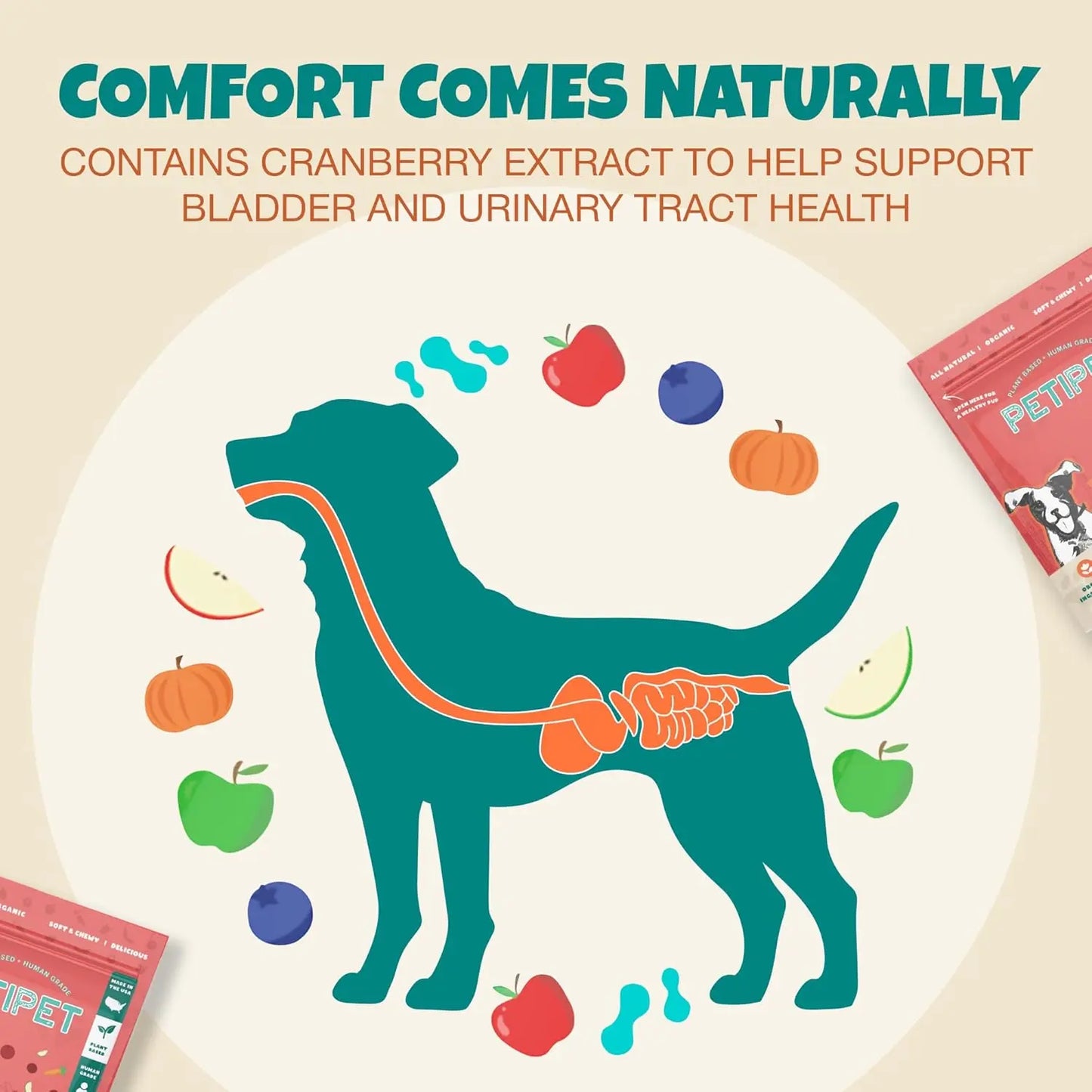 Illustration of a dog with digestive organs highlighted, surrounded by fruits and veggies. Text: “PETIPET Bladder Booster Cranberry Chews for Dogs—supports urinary and kidney health naturally. 7oz.”.