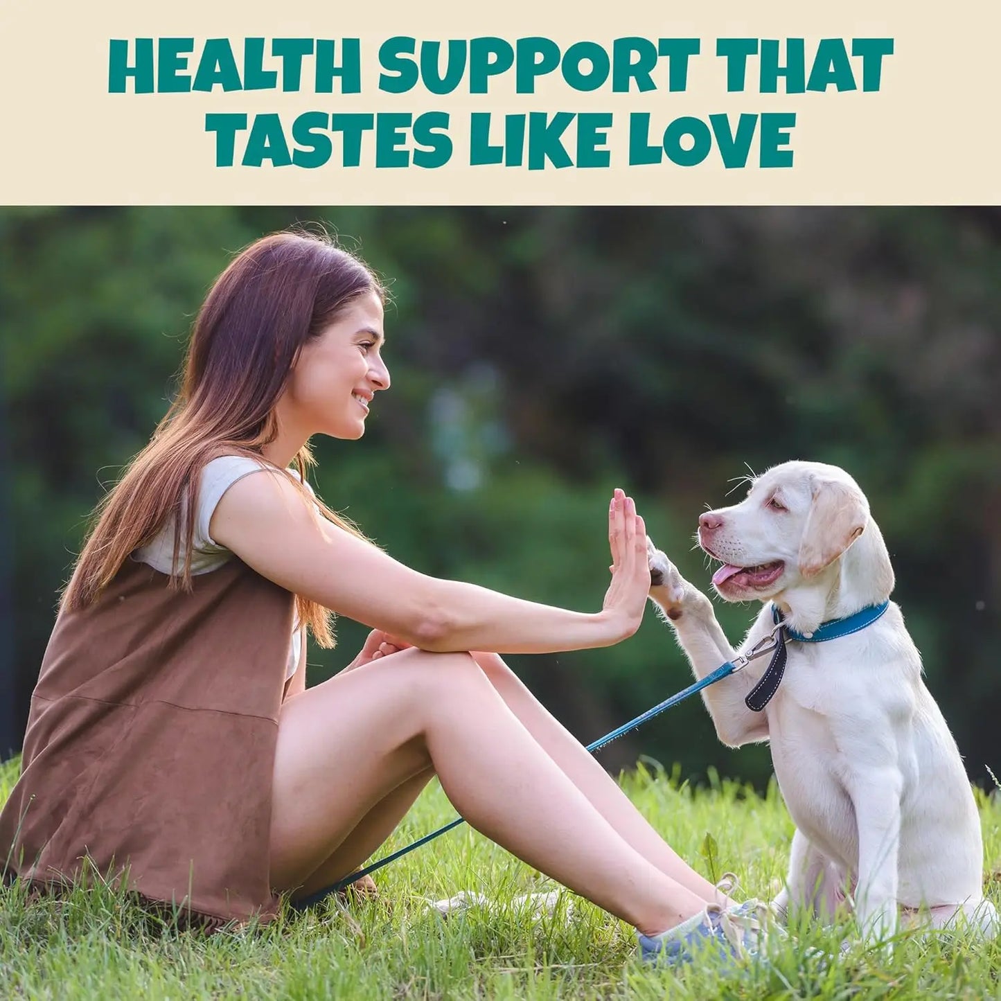 A woman on grass smiles, high-fiving her happy dog. Above them, bold text reads: HEALTH SUPPORT THAT TASTES LIKE LOVE. Lush trees frame the scene—ideal for PETIPET Bladder Booster Cranberry Chews for Dogs’ urinary and kidney health support.