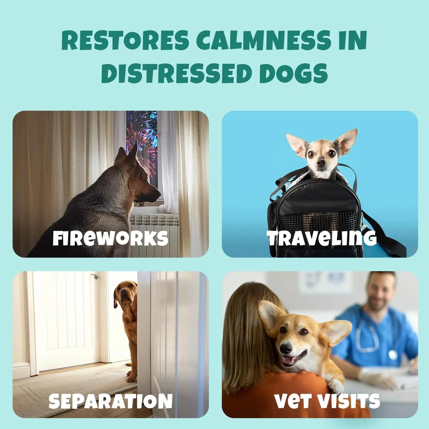 Four images show situations that may distress dogs—fireworks, travel carriers, separation, and vet visits—where PETIPET Calming Bites with Melatonin + Chamomile (Apple & Carrot Flavored Soft Chews) can help soothe your dog.
