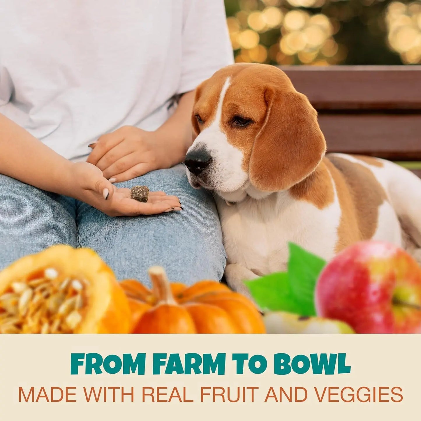 A person gives a beagle PETIPET Pill Press Dog Treats on a bench, with pumpkin and apple in front. Text: FROM FARM TO BOWL. MADE WITH REAL FRUIT, VEGGIES & PLANT-BASED INGREDIENTS.
