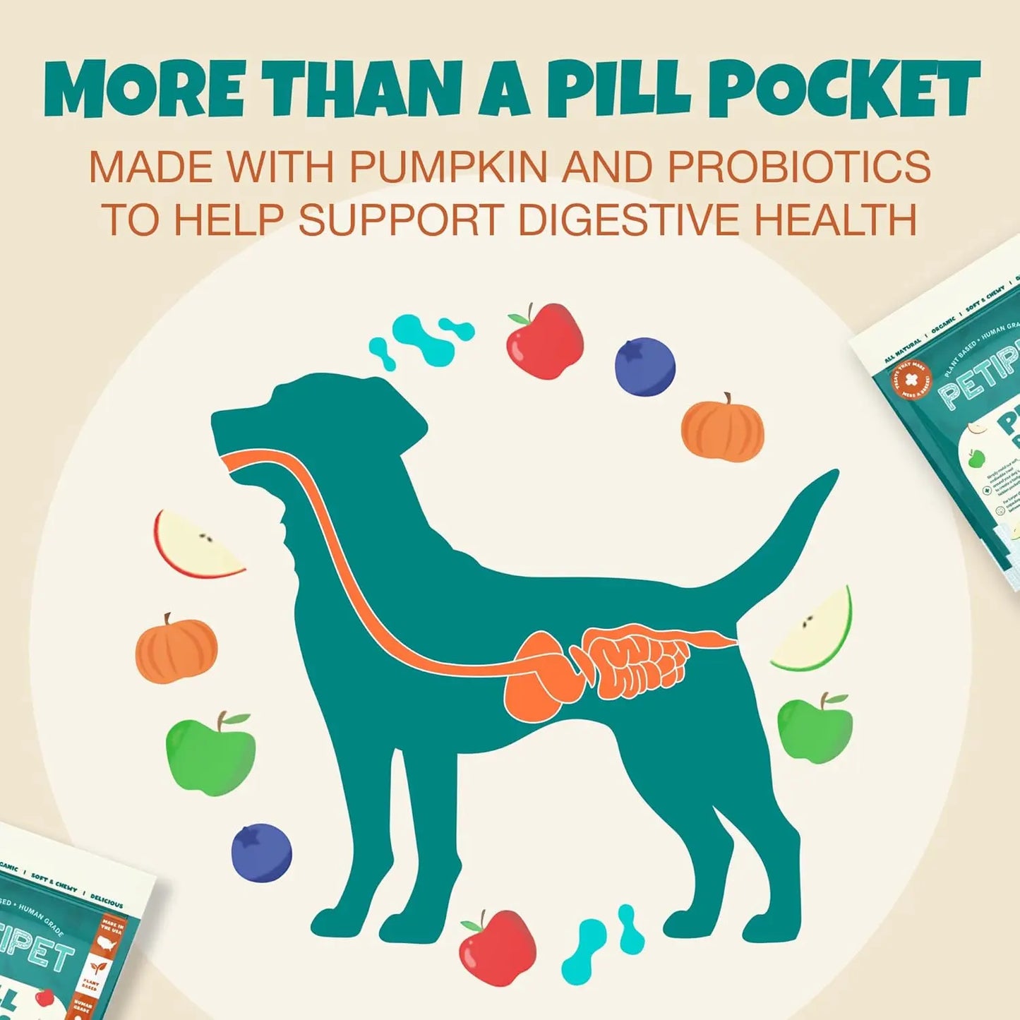 Illustration of a dog with its digestive system highlighted, surrounded by fruits and veggies. Text: PETIPET Pill Press Dog Treats—vegan chews with pumpkin & probiotics to support digestive health. Packages shown in corners.