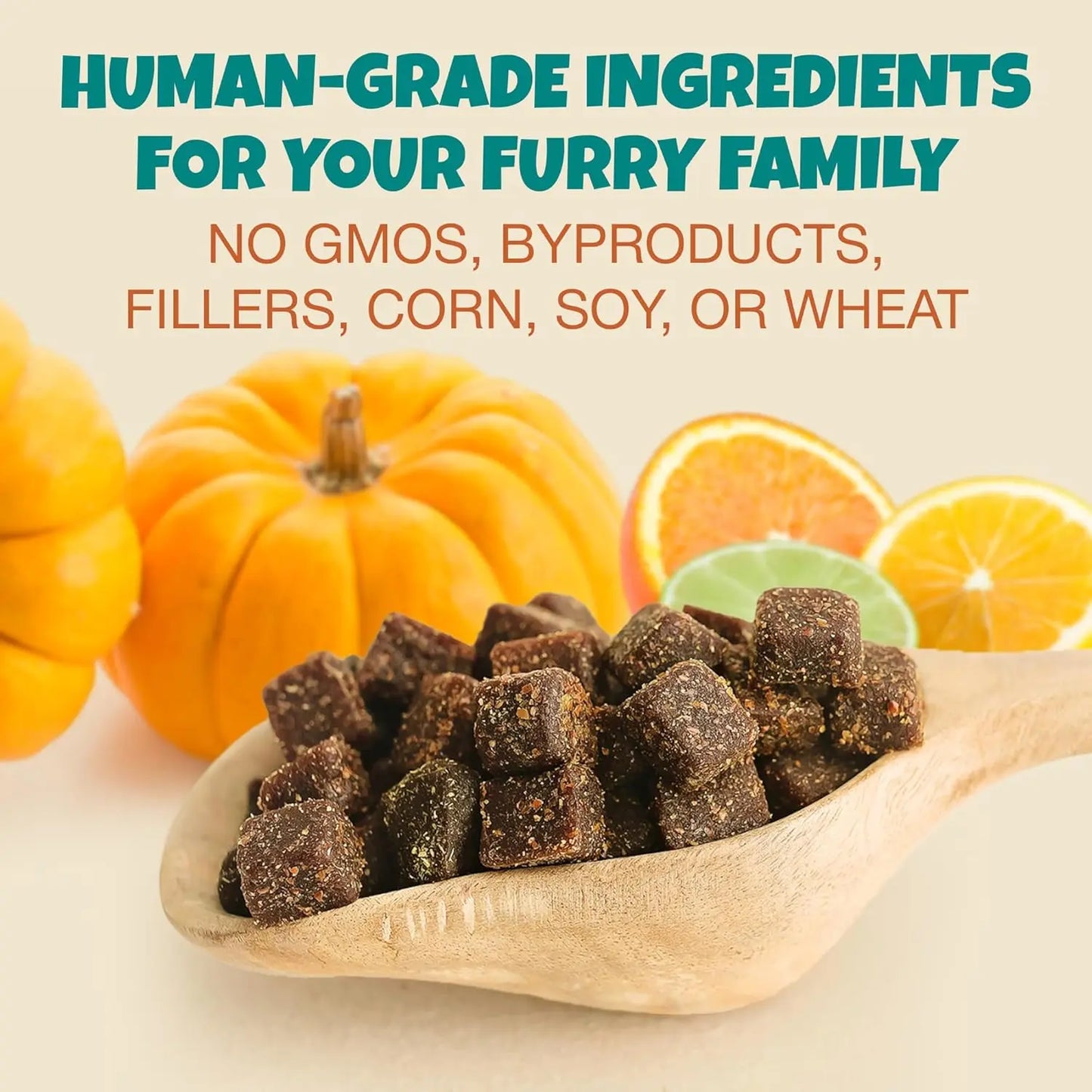 A wooden spoon holds cube-shaped PETIPET Pill Press Dog Treats—vegan chews with pumpkin and probiotics—in front of pumpkins and orange slices. Text: Human-grade, plant-based ingredients. No GMOs, fillers, corn, soy, or wheat.