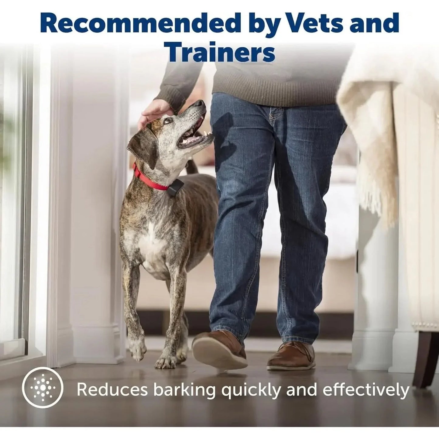 PetSafe® Basic Bark Control Collar for Dog PetSafe®