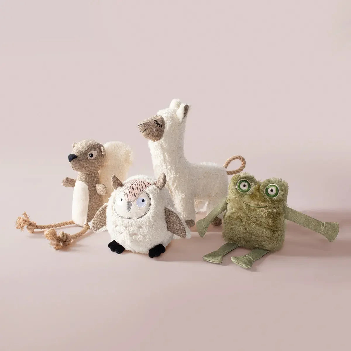 PetShop by Fringe Studio Bring More Nut Earth Friendly Dog Toy PetShop by Fringe Studio