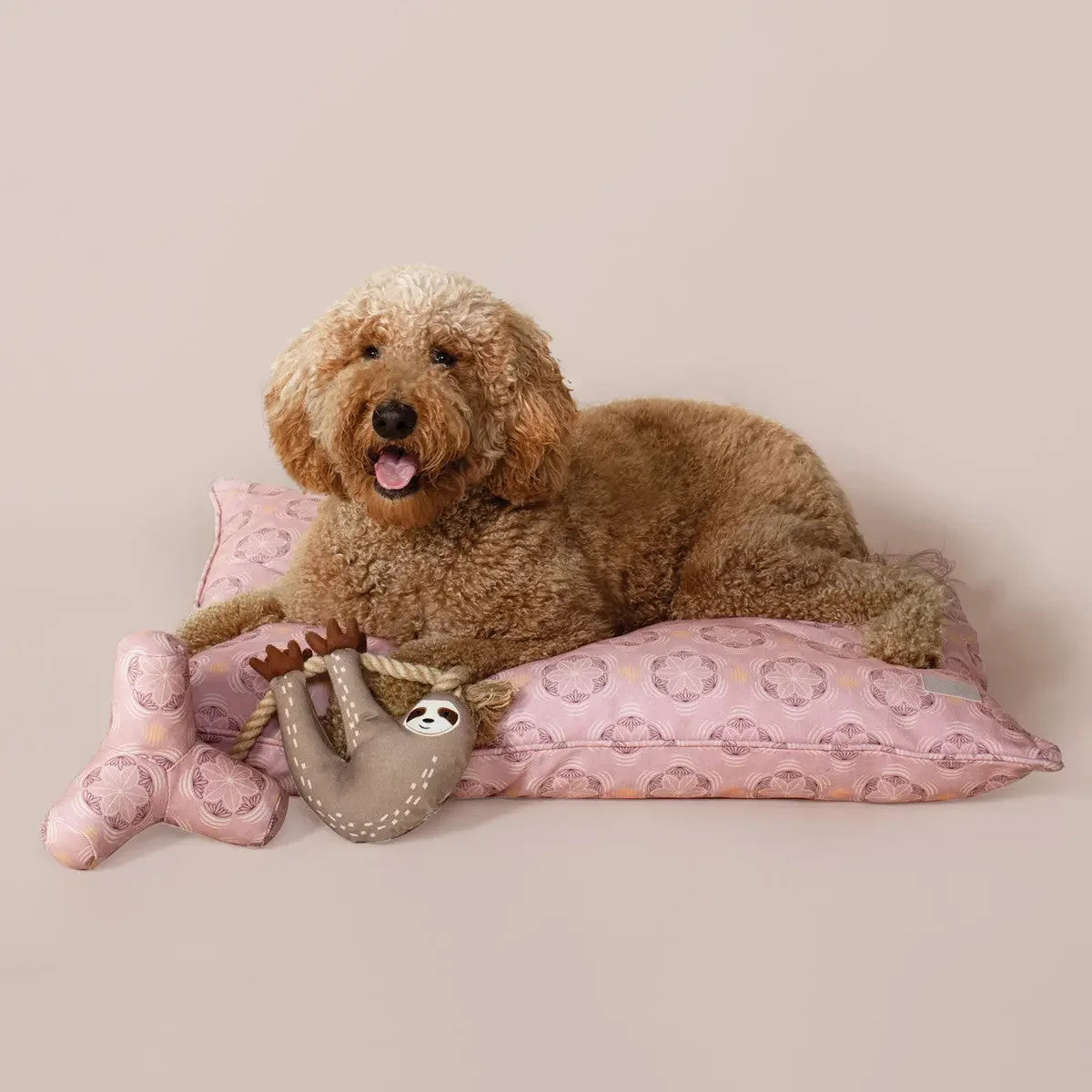 PetShop by Fringe Studio Eat Sleep Repeart Earth Friendly Dog Toy PetShop by Fringe Studio