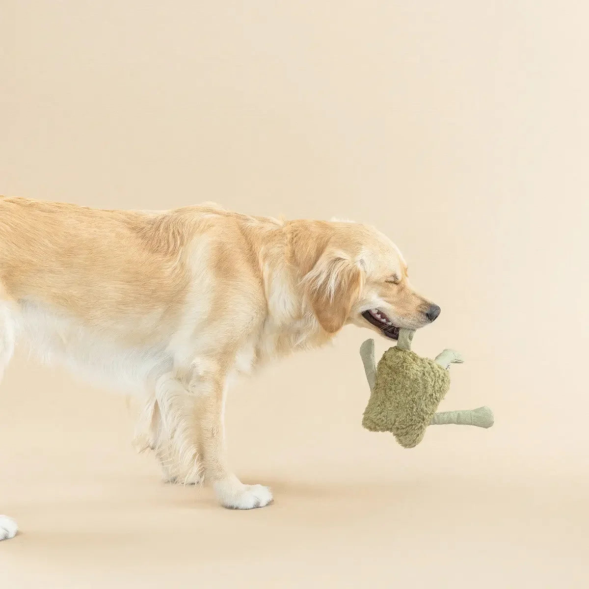 PetShop by Fringe Studio I Jump Around Earth Friendly Small Dog Toy PetShop by Fringe Studio