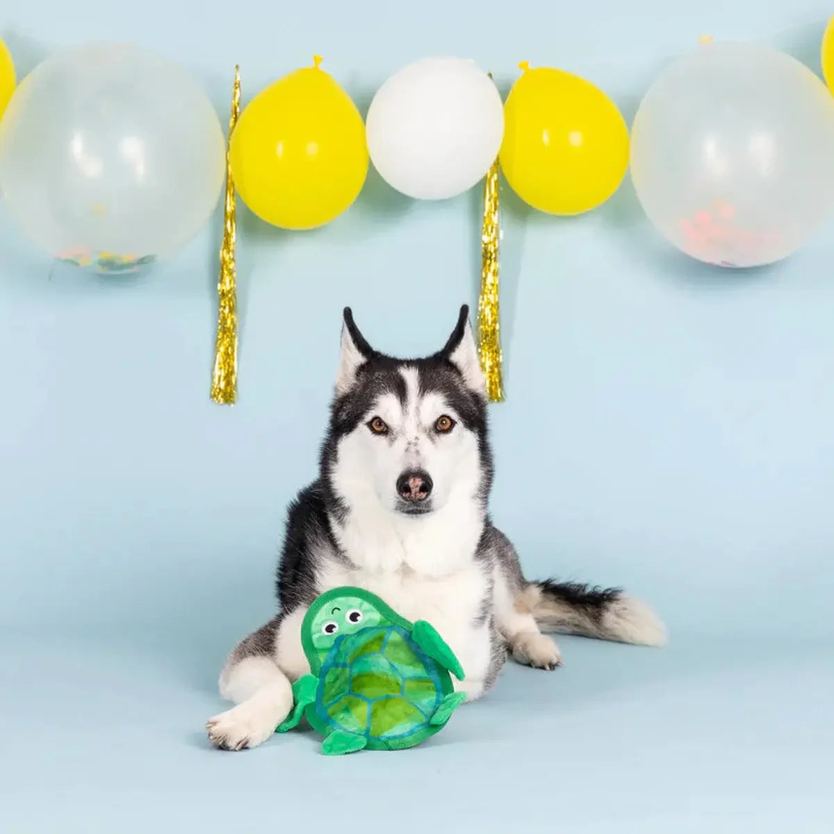 PetShop by Fringe Studio Shell Of A Time Durable Plush Dog Toy PetShop by Fringe Studio